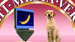 Omar Galanti Extreme Anal Tales Vol.3 - Episode 4